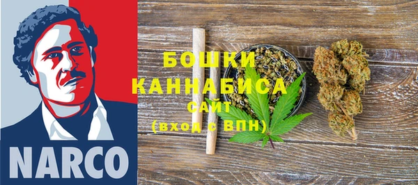 твердый Горняк