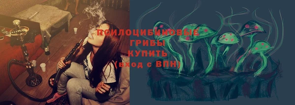 твердый Горняк