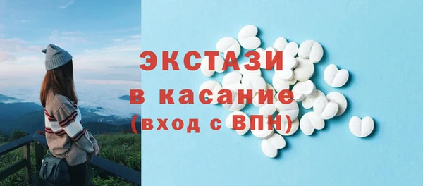 твердый Горняк