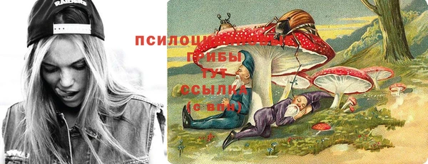 СК Горнозаводск