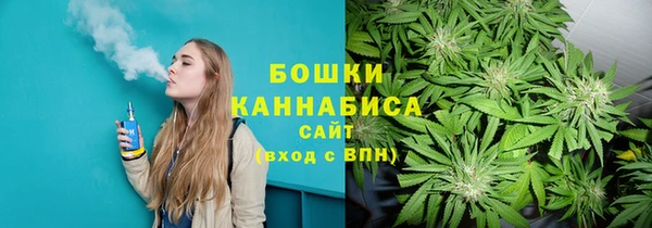 твердый Горняк