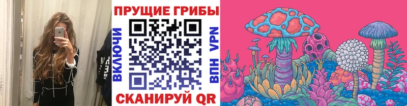 дарнет шоп  Вологда  Галлюциногенные грибы мухоморы 